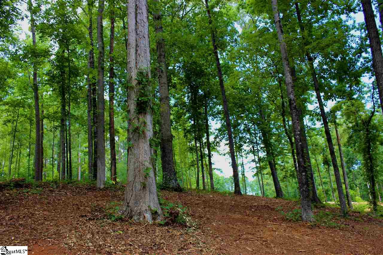 21 Retreat Pointe Road West Union, SC 29696 - Photo 17 of 33