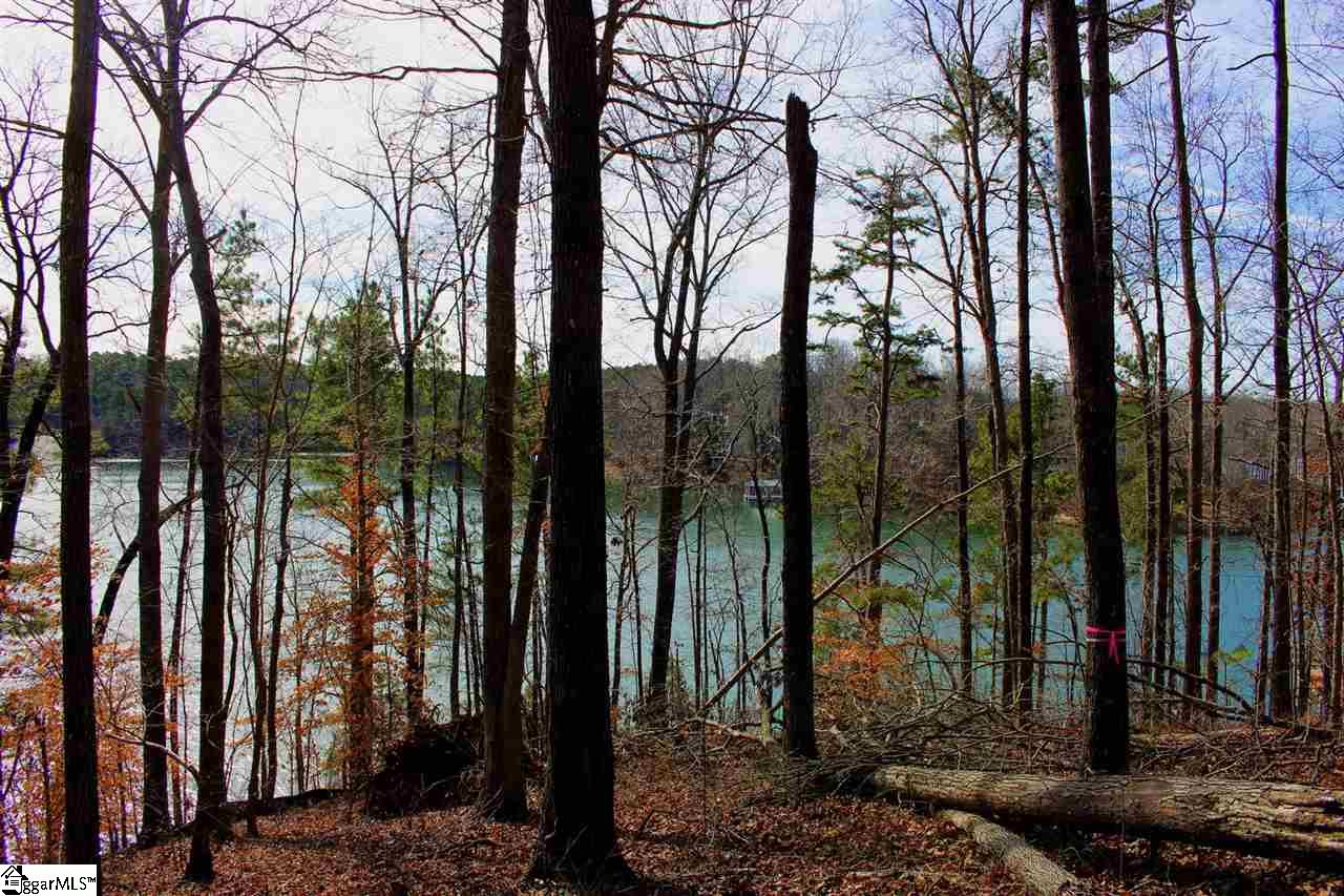 21 Retreat Pointe Road West Union, SC 29696 - Photo 21 of 33