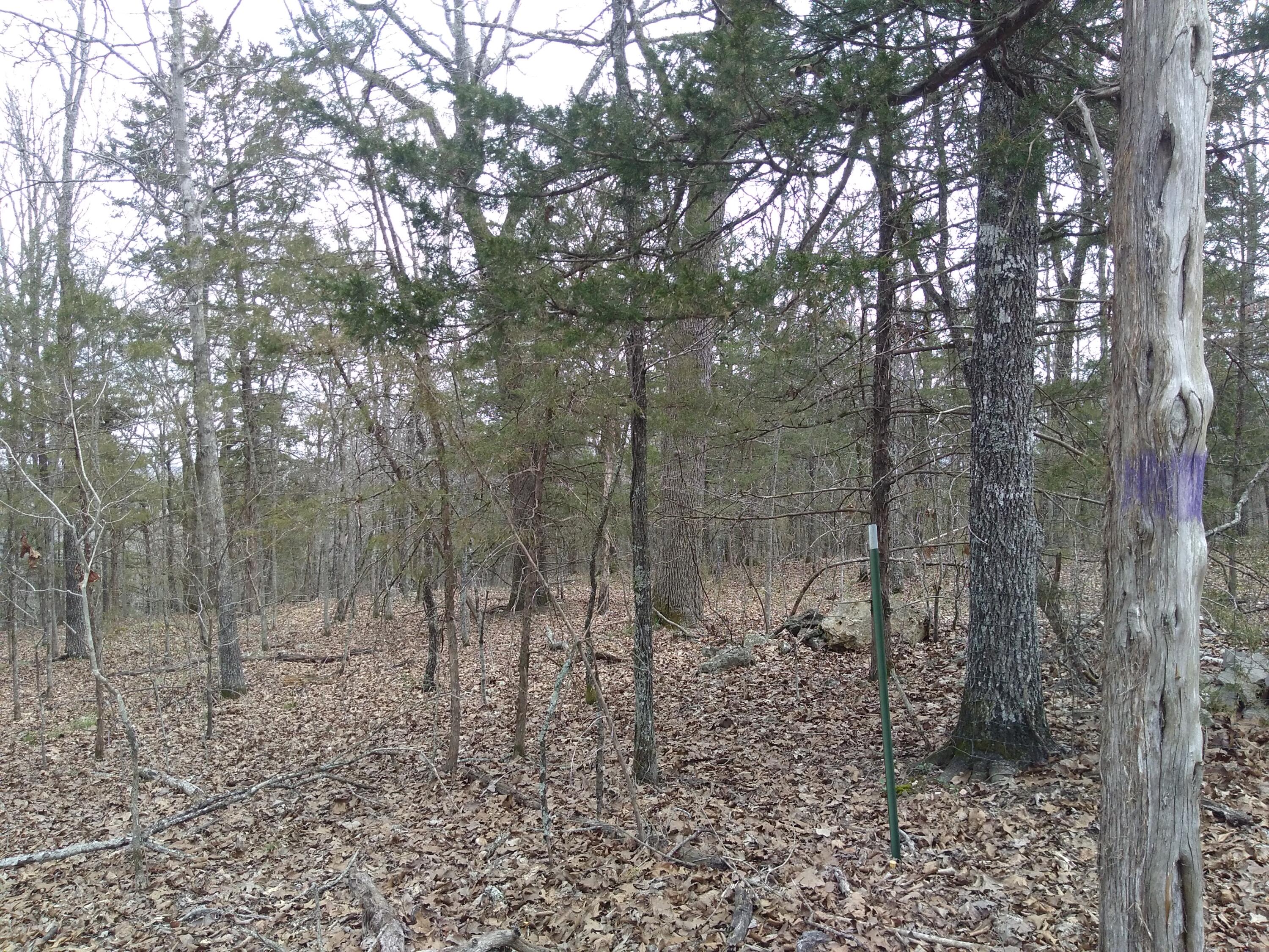 Lot 1 Copperhead Road Cedarcreek, MO 65627 - Photo 1 of 1 Copperhead Lot 1
