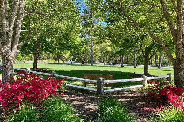 a view of a park with large trees