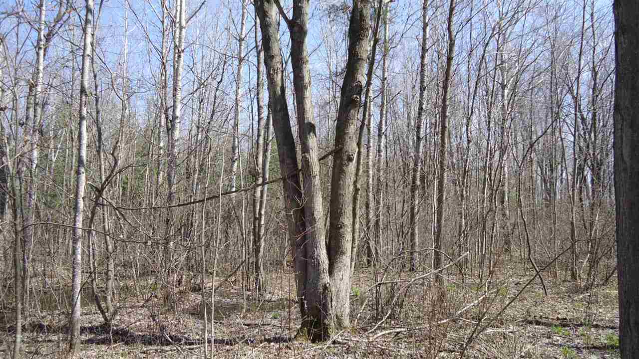 721 West Huron Road Omer, MI 48749 - Photo 6 of 17 1808059-5.JPG