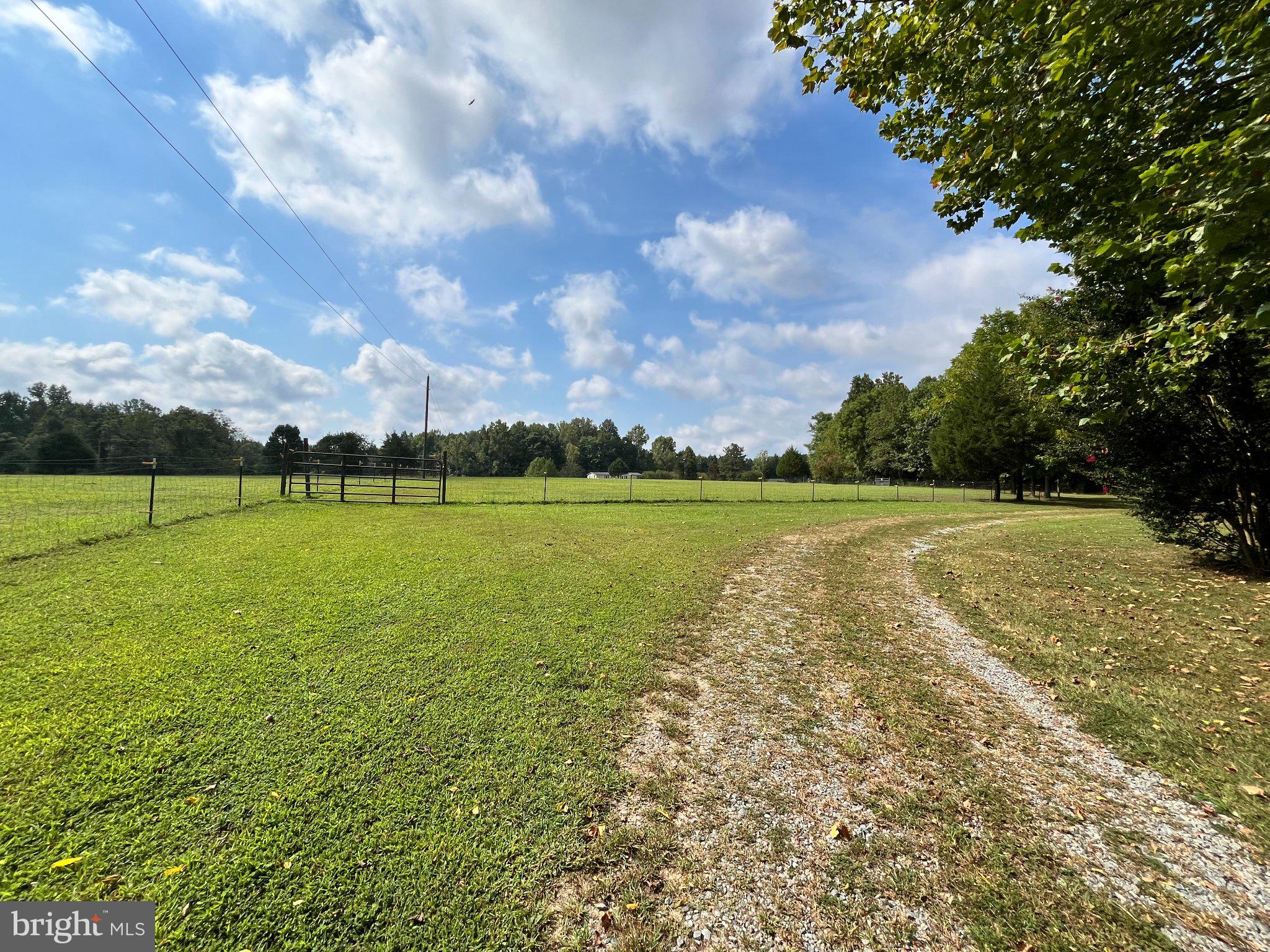 615 Reed Bridge Farm Road Bruington, VA 23023 - Photo 2 of 8 Front lane with area for horse