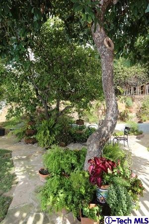 225 West Kenneth Road Glendale, CA 91202 - Photo 29 of 31 a view of a garden with plants and large trees