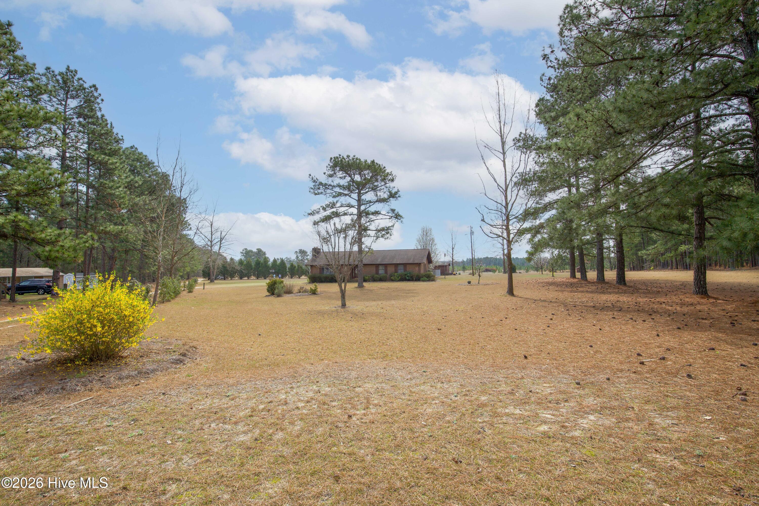 124 Joseph Road Aberdeen, NC 28315 - Photo 13 of 64 View across the open yard and acreage surrounding 124 Joseph Road in Aberdeen. The property offers approximately 5.06 acres with a mix of open lawn and mature trees that provide privacy and usable outdoor space. The expansive land offers opportunities for gardening, recreation, or additional outbuildings while enjoying a peaceful Moore County setting. Conveniently located near Aberdeen, Southern Pines, Pinehurst, and commuter routes to Fort Bragg and Camp Mackall.