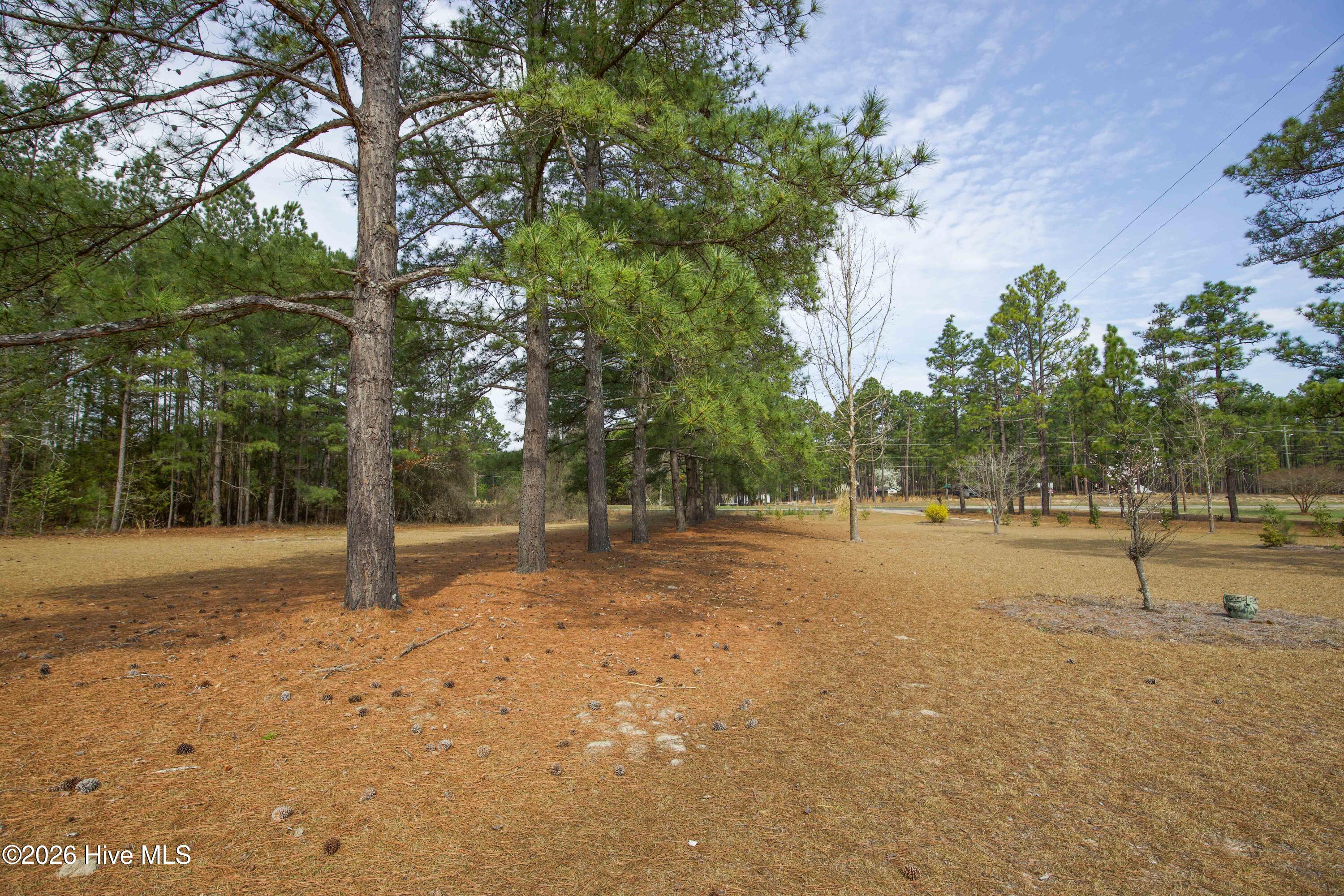 124 Joseph Road Aberdeen, NC 28315 - Photo 15 of 64 View of the yard and mature pine trees surrounding the property at 124 Joseph Road. The approximately 5.06 acre property features a mix of open lawn and established trees that create natural shade and privacy. The land offers flexibility for outdoor activities, gardening, or simply enjoying the quiet rural setting while remaining conveniently located near Aberdeen, Southern Pines, and Pinehurst.