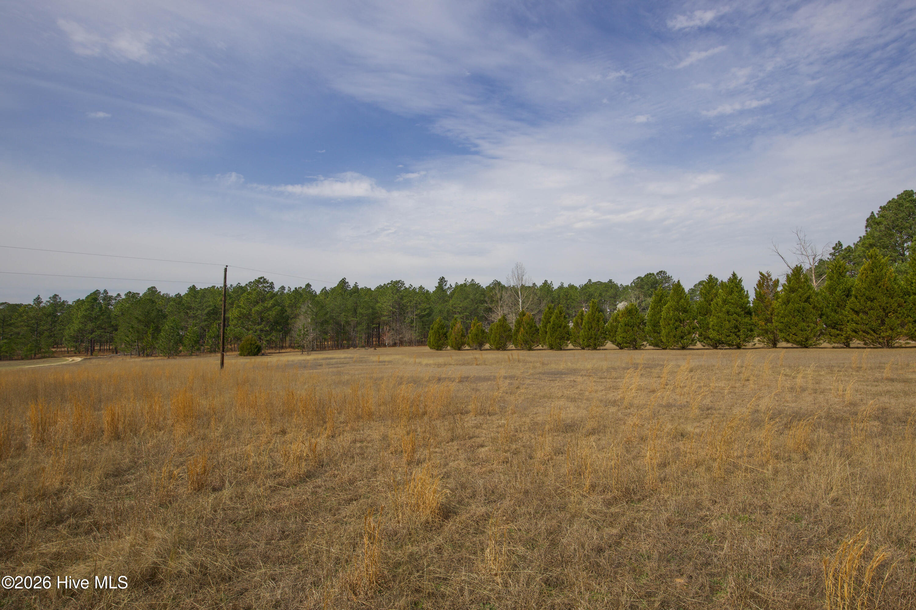 124 Joseph Road Aberdeen, NC 28315 - Photo 26 of 64 View across the open field and tree line on the approximately 5.06 acre property at 124 Joseph Road. The land offers a peaceful rural setting with open space and mature trees, creating opportunities for outdoor recreation, gardening, or additional improvements.
