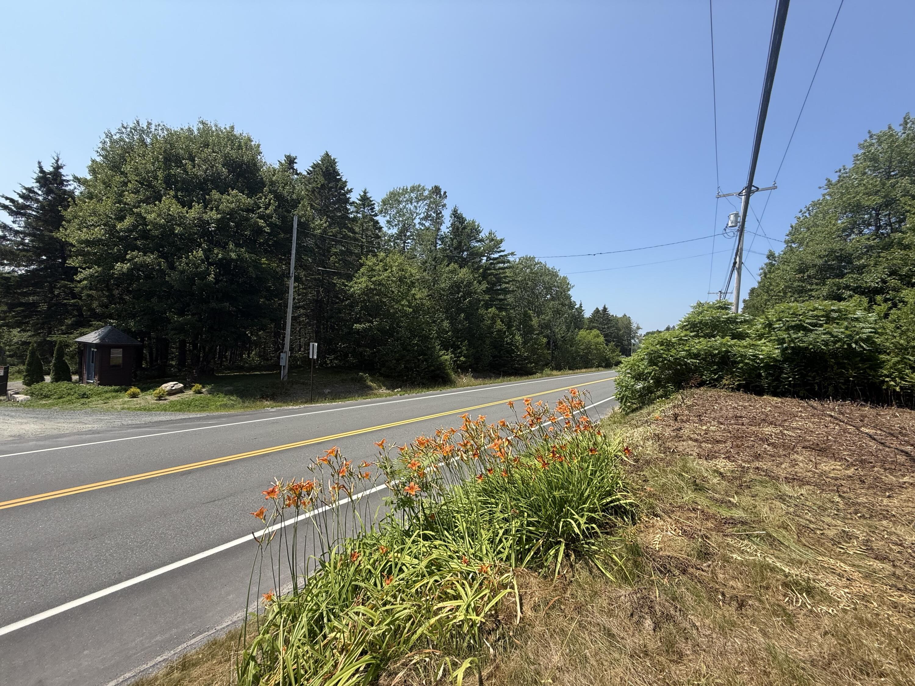1916 U.S. Rte 1 Sullivan, ME 04664 - Photo 21 of 25 Road