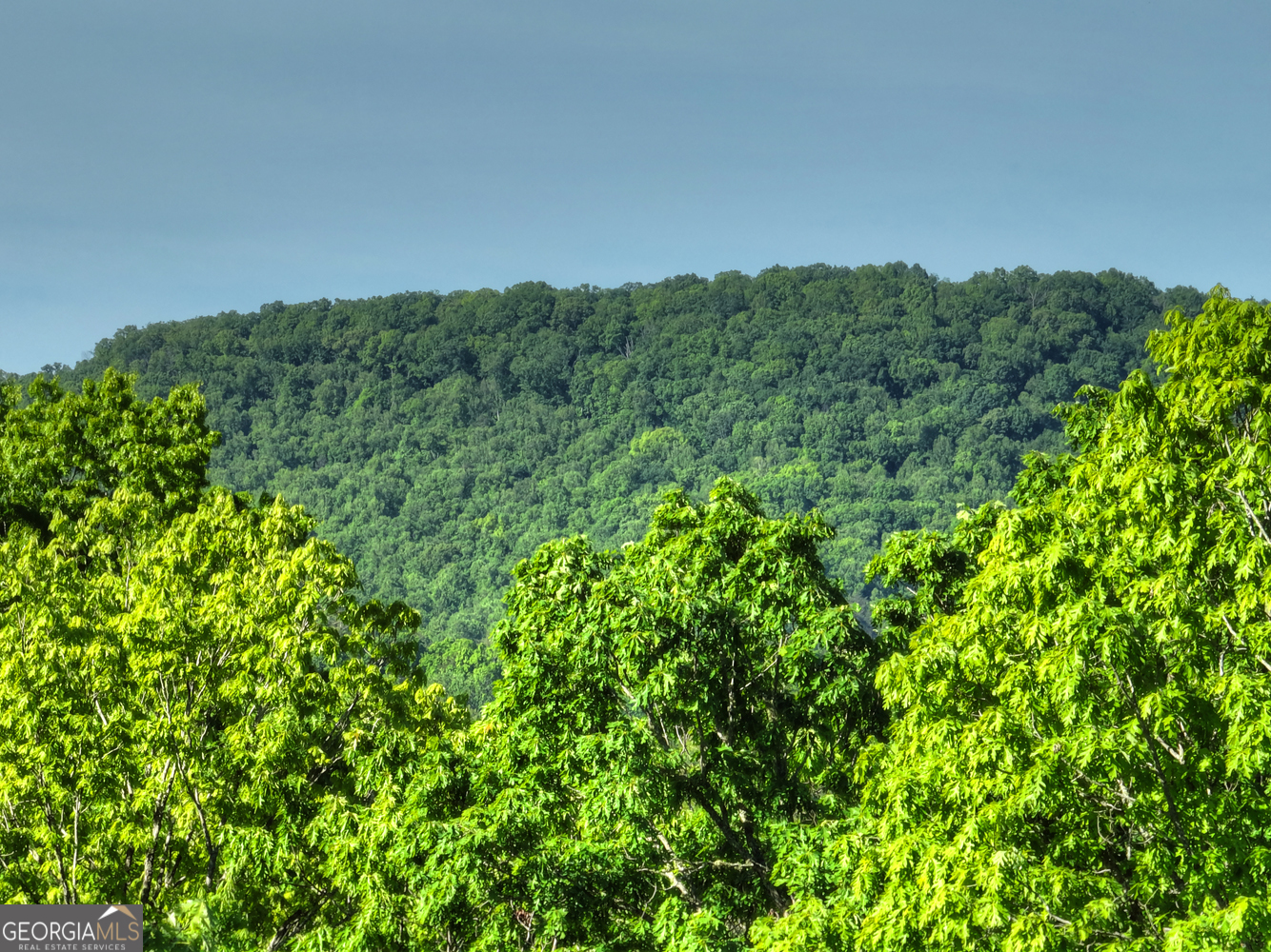 Lot 41 Ridge Drive Morganton, GA 30560 - Photo 21 of 34