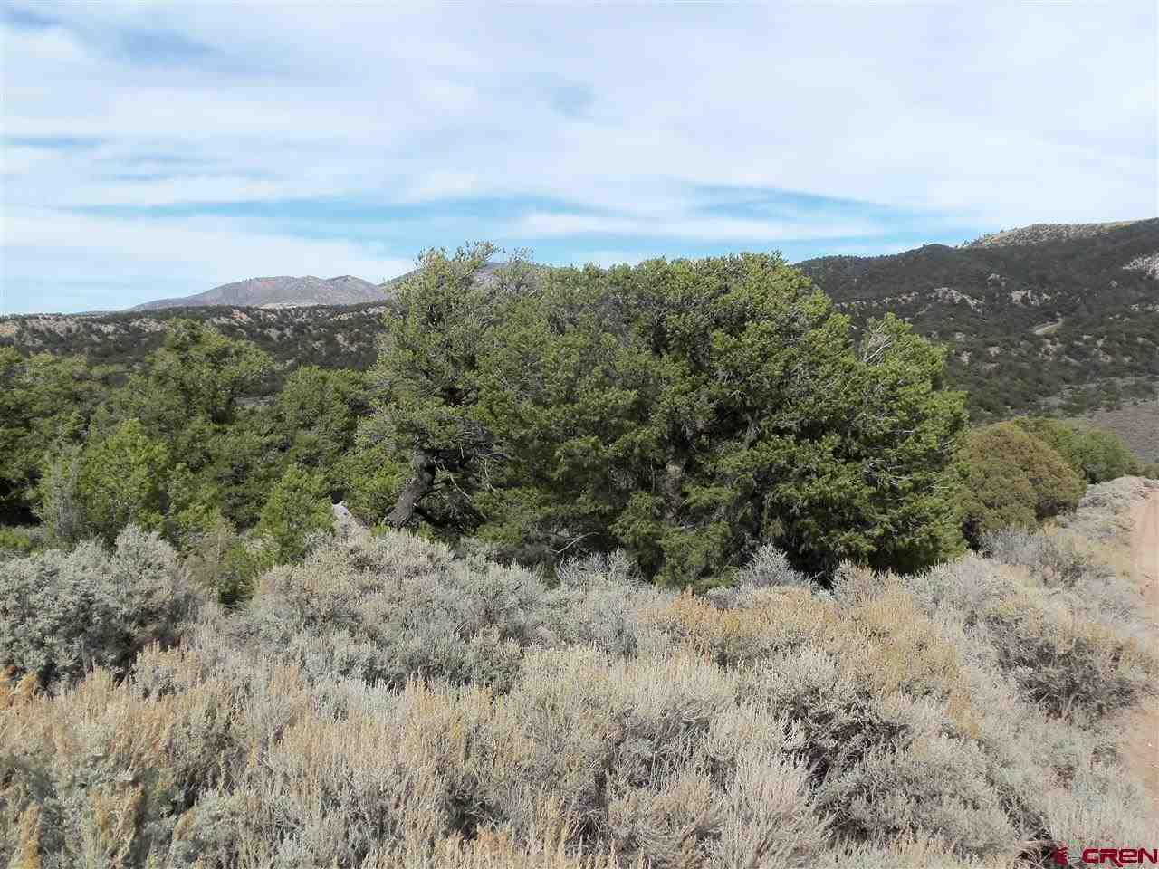 5726 Seilbach Road San Luis, CO 81152 - Photo 5 of 7 Gallery Image 5