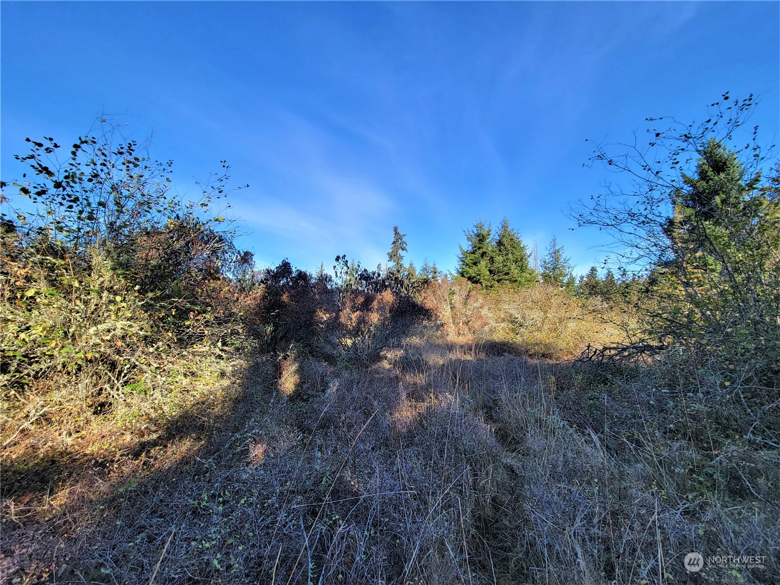 9999 Riverside Road Sequim, WA 98382 - Photo 10 of 15 Gallery Image 10