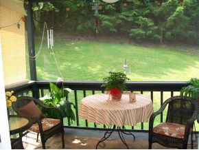 650 Mccloud Road Elizabethton, TN 37643 - Photo 9 of 20 Screened porch