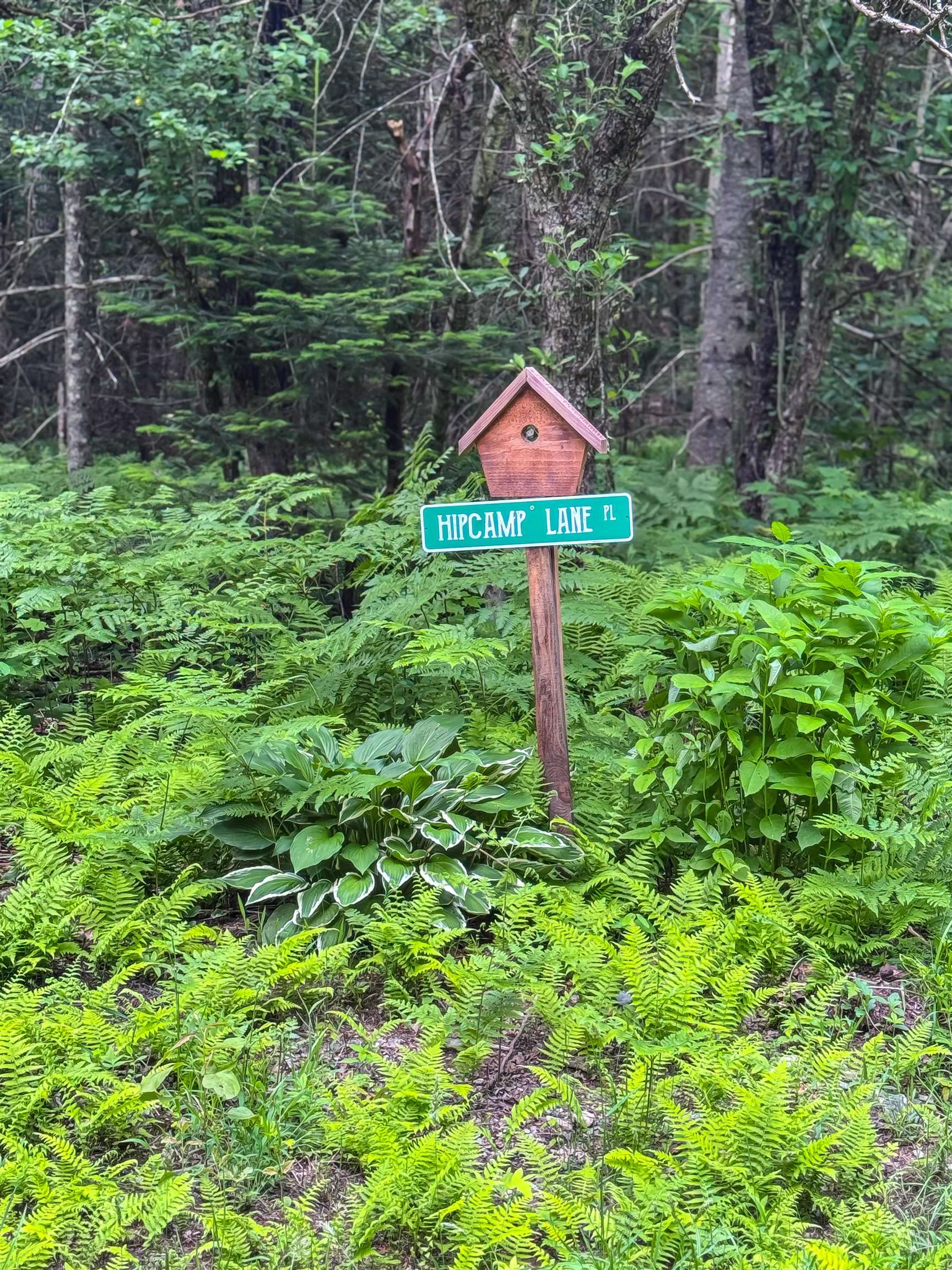 273 Guyette Road Lowell, VT 05847 - Photo 8 of 9