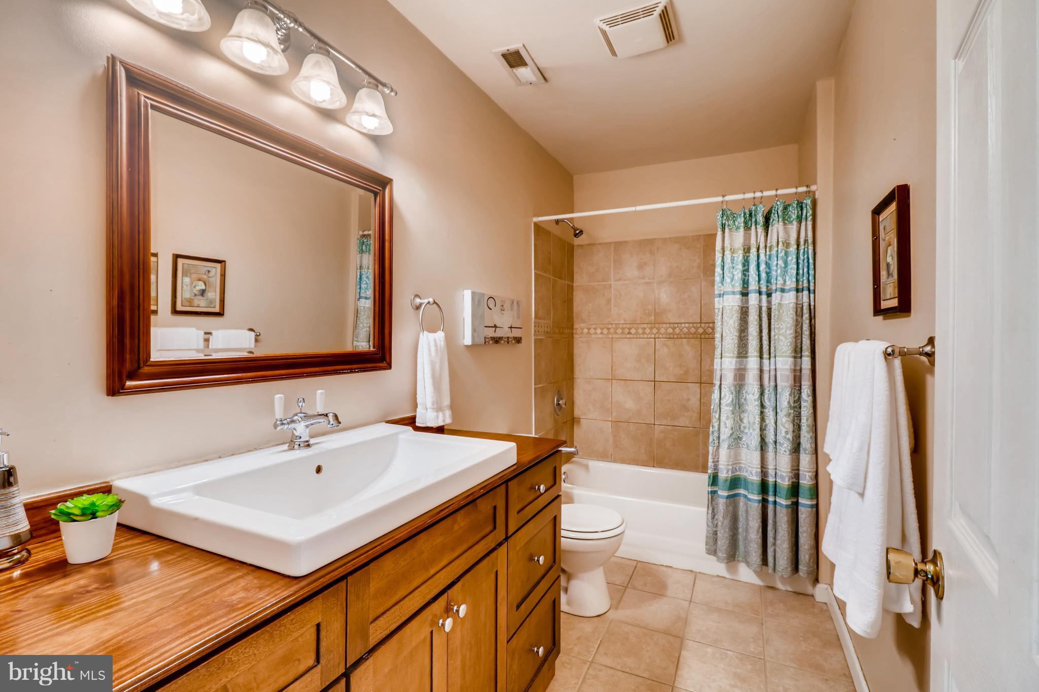1812 North Calvert Street Baltimore, MD 21202 - Photo 11 of 17 Upper Level Master Bath with Exquisite Features