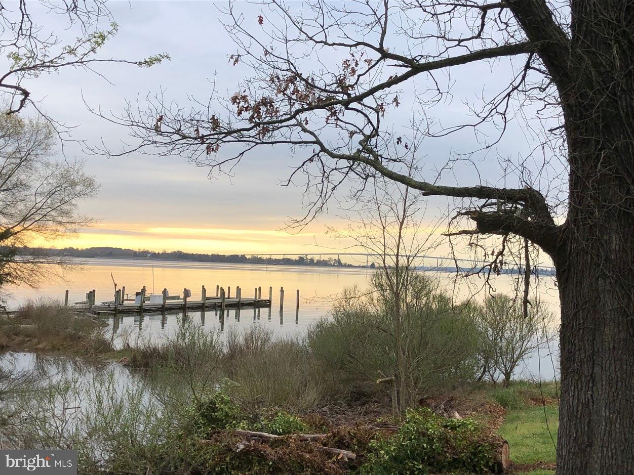 24644 Half Pone Point Road Hollywood, MD 20636 - Photo 27 of 29 Looking out into the River from the side yard