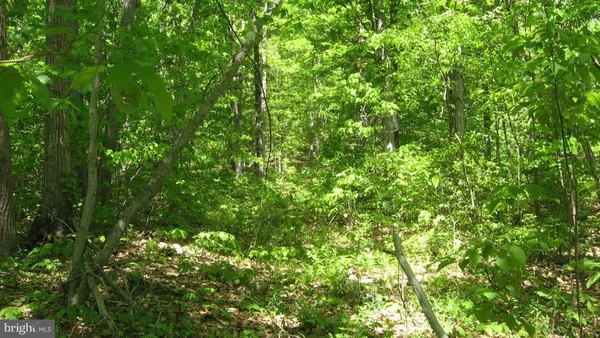 $15,000 | 1 Apple Tree Lane, Moorefield, WV 26836