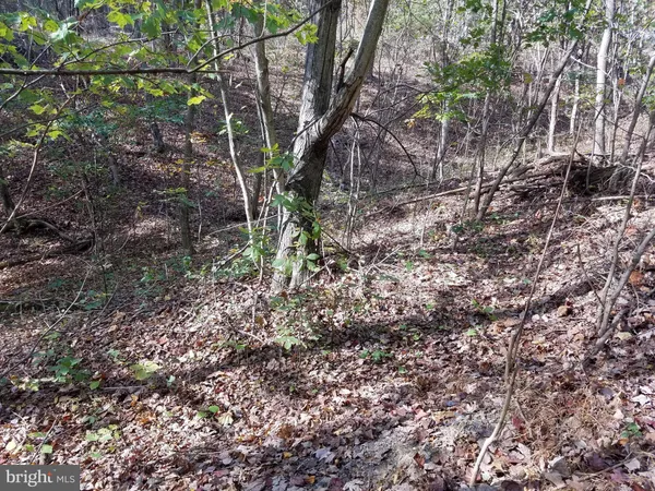 $15,000 | 1 Apple Tree Lane, Moorefield, WV 26836