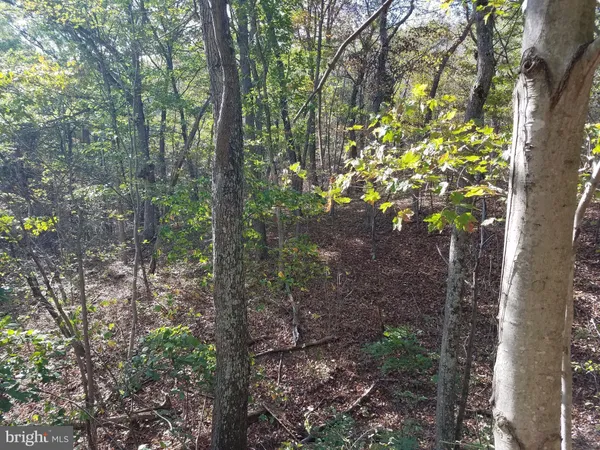 $15,000 | 1 Apple Tree Lane, Moorefield, WV 26836