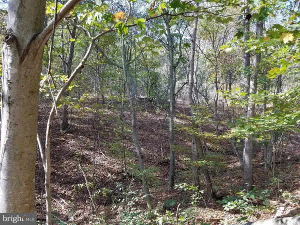 $15,000 | 1 Apple Tree Lane, Moorefield, WV 26836