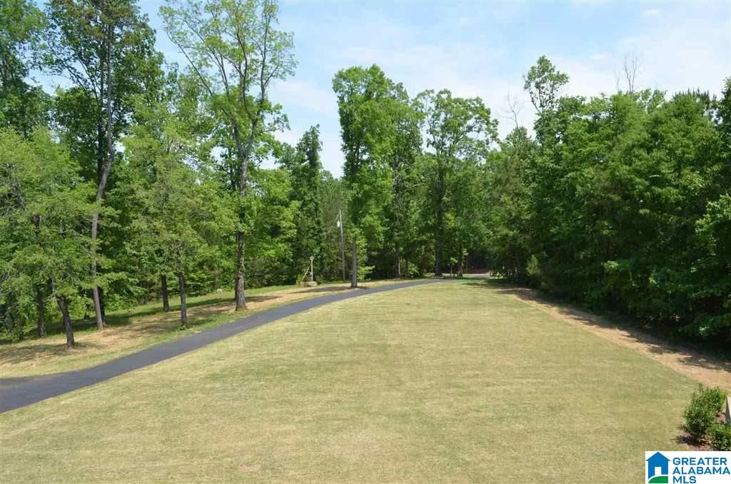 7391 Goodner Mountain Road Pinson, AL 35126 - Photo 41 of 41
