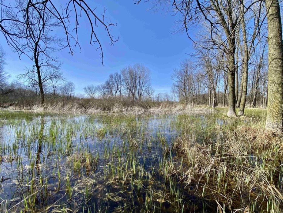 Lot 14 Sleepy Hollow Road Kewaunee, WI 54216 - Photo 6 of 16