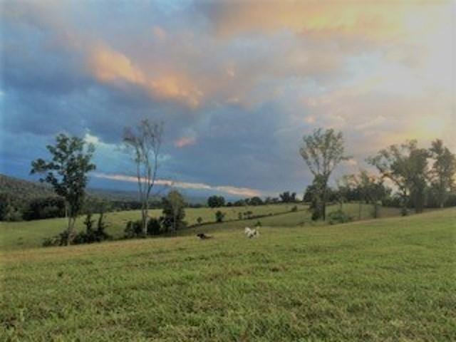 1054 Shields Ridge Road New Market, TN 37820 - Photo 18 of 27 580850-17