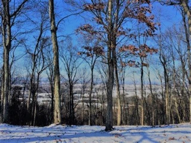 1054 Shields Ridge Road New Market, TN 37820 - Photo 23 of 27 580850-22