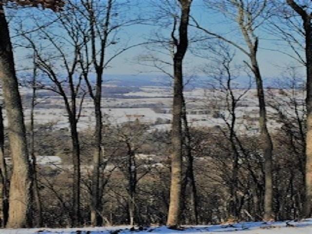 1054 Shields Ridge Road New Market, TN 37820 - Photo 25 of 27 580850-24