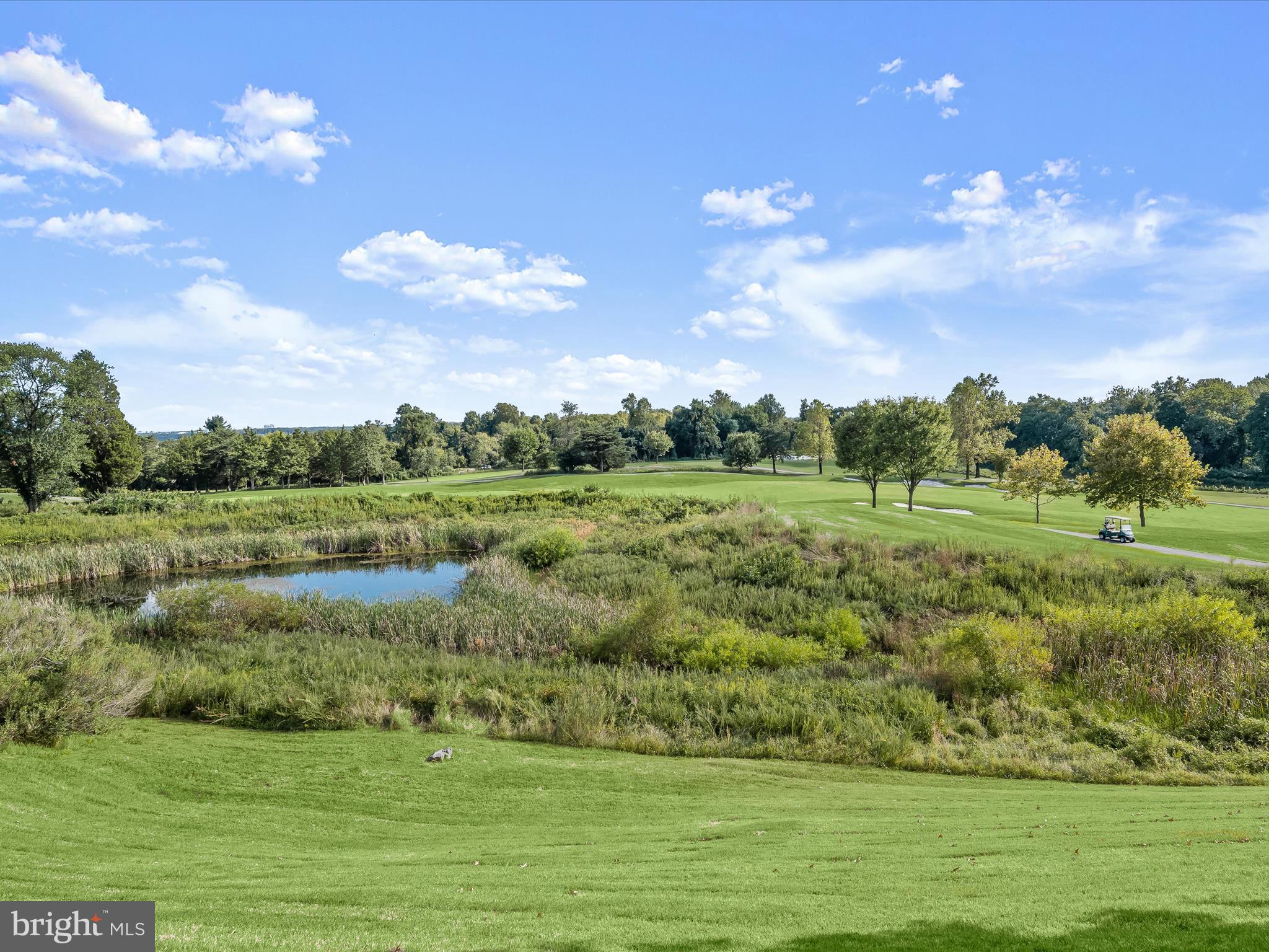 7325 Brookview Road, Unit 305 Elkridge, MD 21075 - Photo 38 of 40 a view of a green field with clear sky
