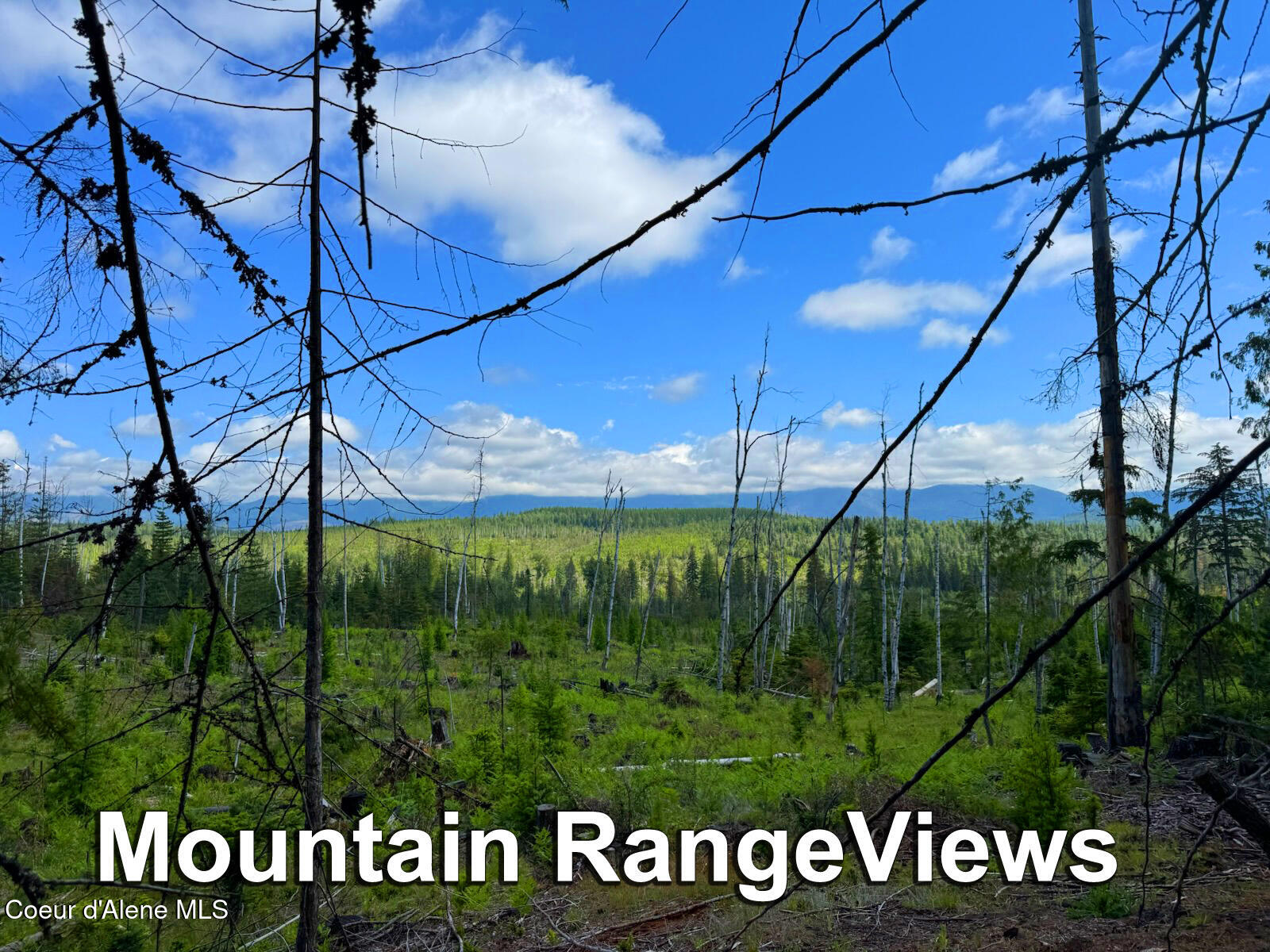 Nna Rolling Thunder Ridge Road Sandpoint, ID 83864 - Photo 2 of 37 .