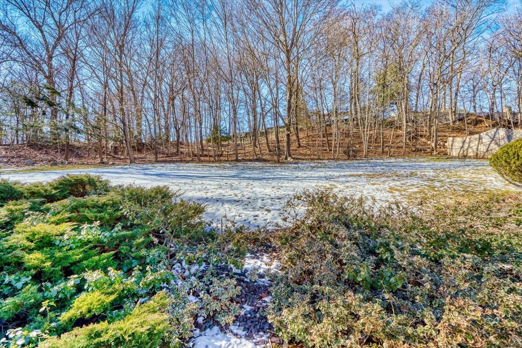 62 Cranmore Lane Melrose, MA 02176 - Photo 38 of 42