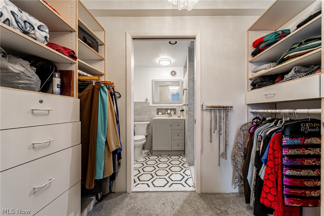 13800 Fairhill Road, Unit 306 Cleveland, OH 44120 - Photo 10 of 48 Walk in closet with light carpet