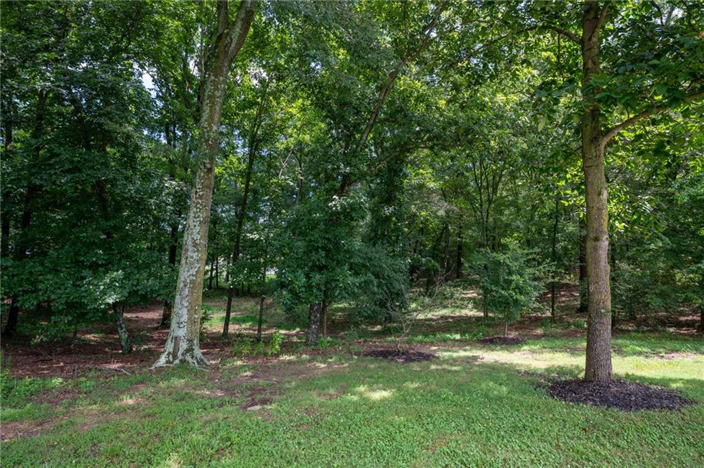 150 School House Road Northeast Calhoun, GA 30701 - Photo 69 of 78