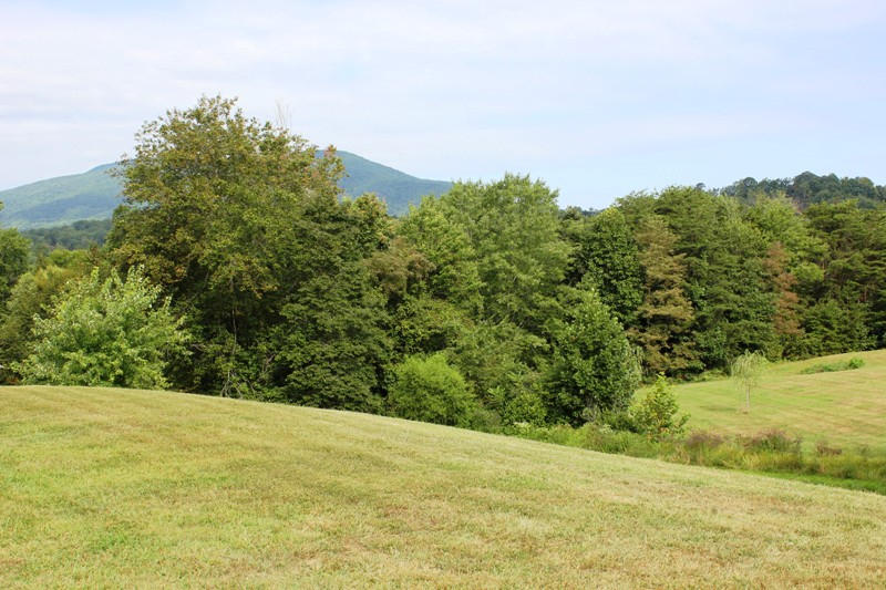 231 Burgess Road Boones Mill, VA 24065 - Photo 8 of 39 Gently Sloped Yard