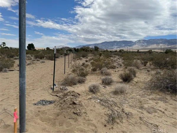 a view of a backyard of a house