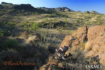 16 Shadow Crest Rio Rico, AZ 85648 - Photo 6 of 12