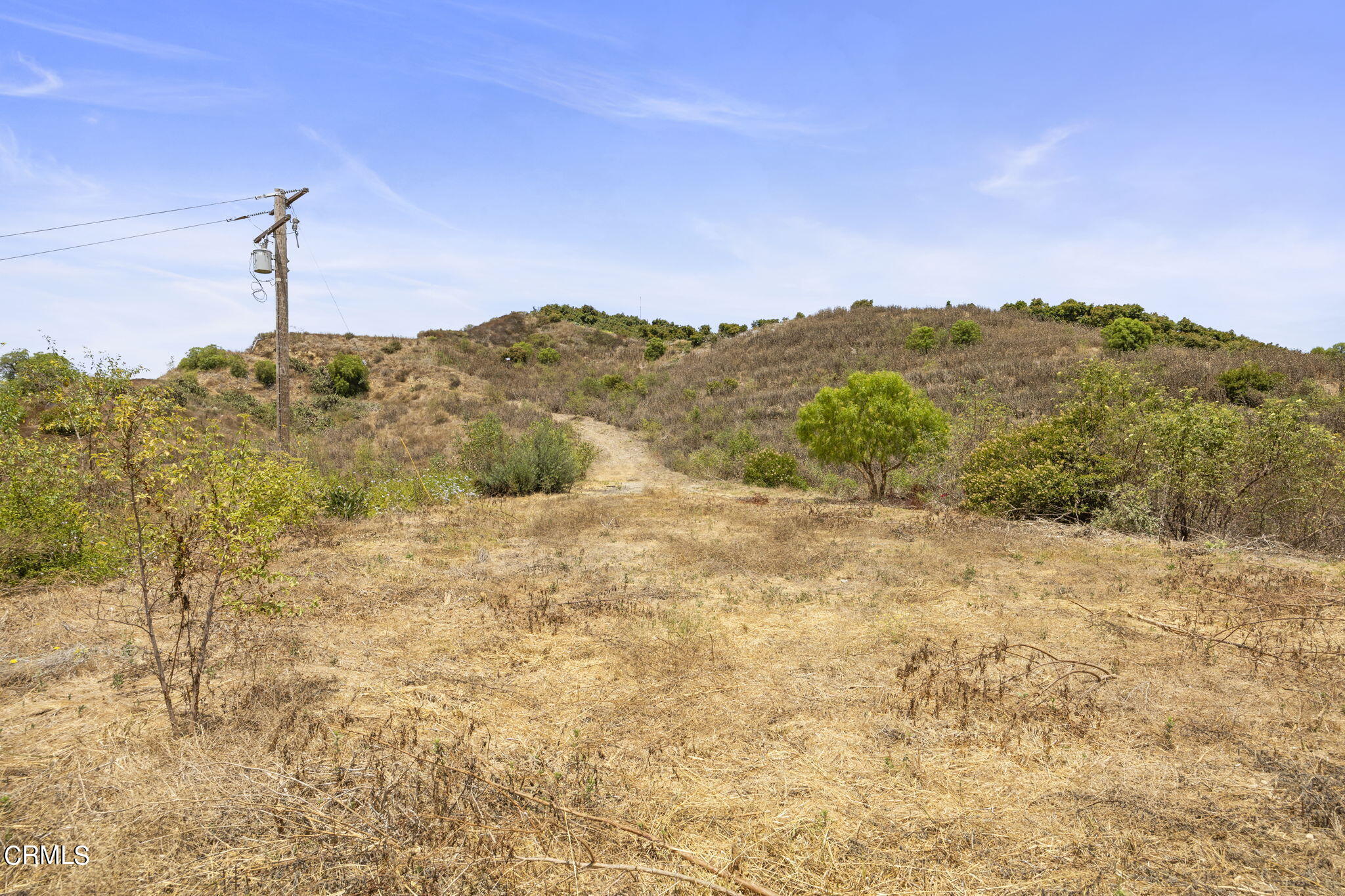 14773 Foothill Road Santa Paula, CA 93060 - Photo 11 of 20 10-web-or-mls-UpmarketMedia_14773foot-29