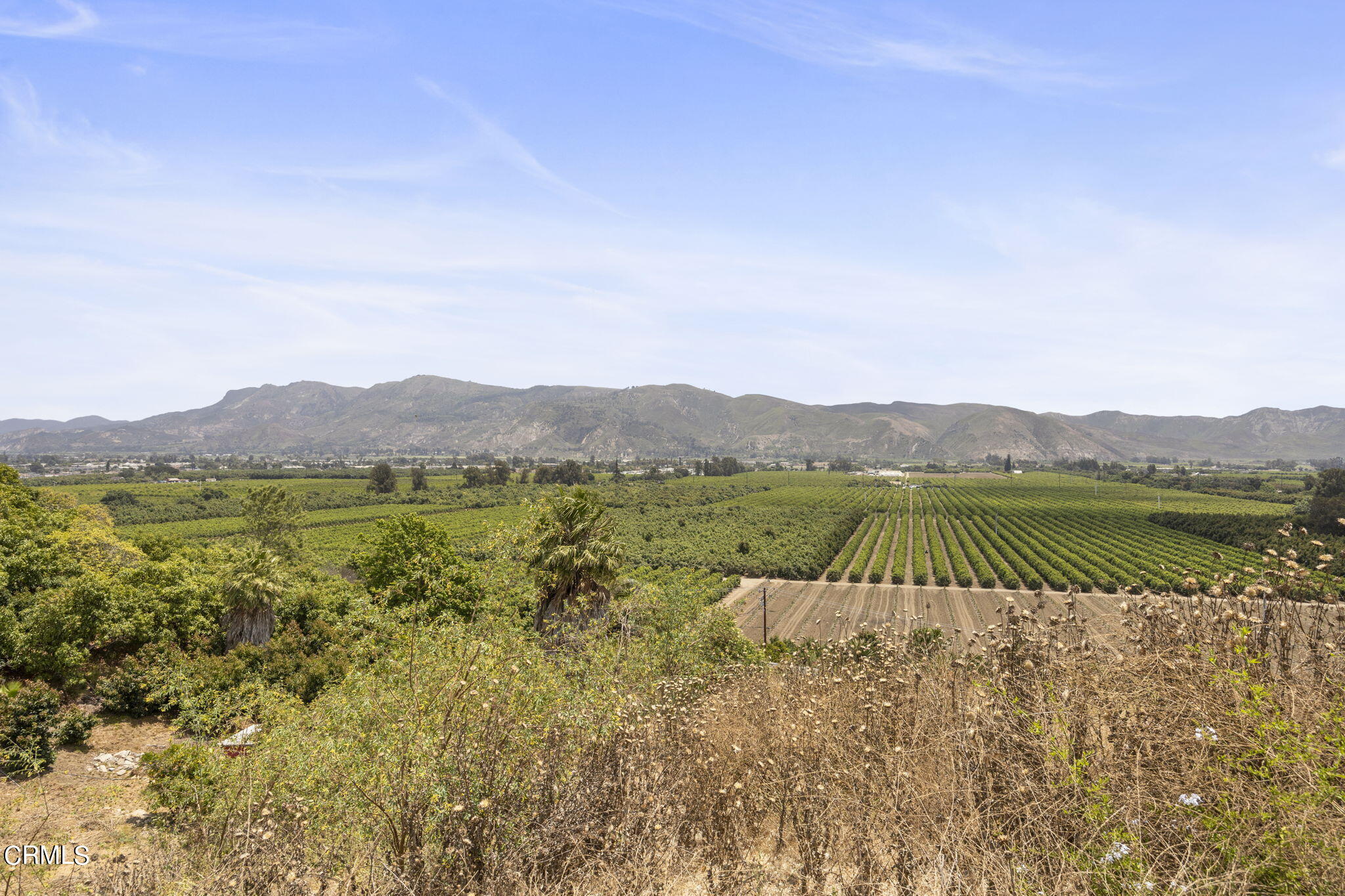 14773 Foothill Road Santa Paula, CA 93060 - Photo 5 of 20 4-web-or-mls-UpmarketMedia_14773foot-11