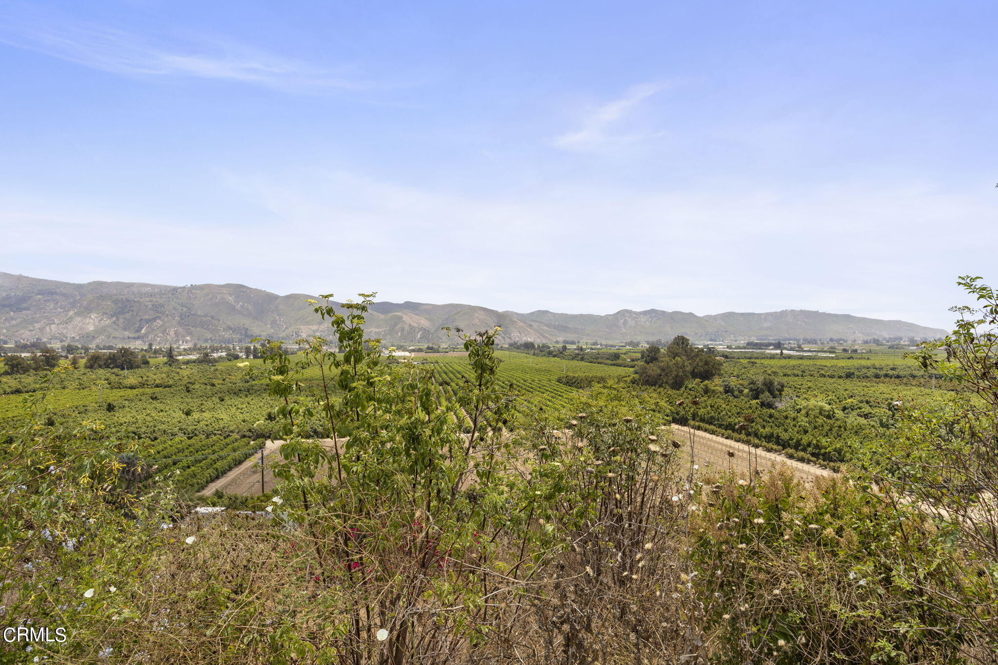 14773 Foothill Road Santa Paula, CA 93060 - Photo 6 of 20 5-web-or-mls-UpmarketMedia_14773foot-14