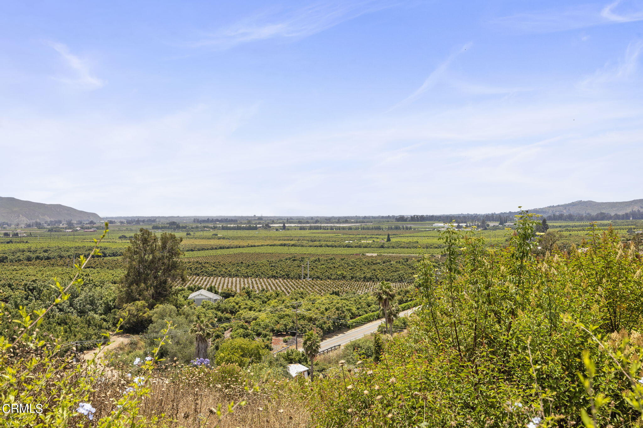 14773 Foothill Road Santa Paula, CA 93060 - Photo 7 of 20 6-web-or-mls-UpmarketMedia_14773foot-17
