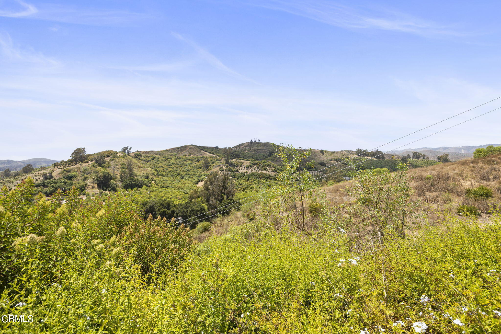 14773 Foothill Road Santa Paula, CA 93060 - Photo 8 of 20 7-web-or-mls-UpmarketMedia_14773foot-20