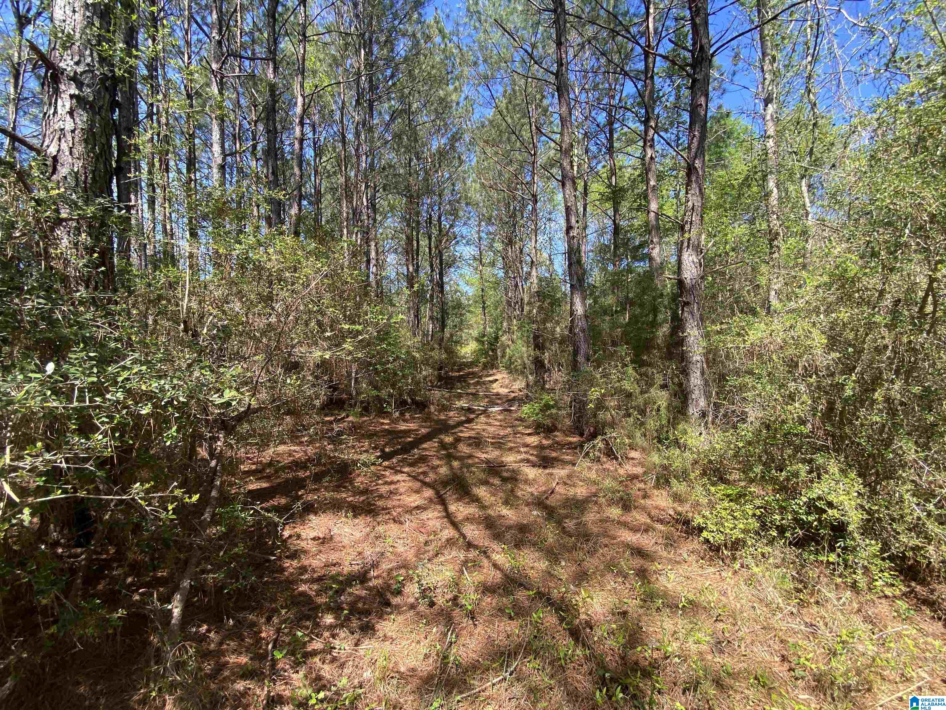 0 Richardson Road Brewton, AL 36426 - Photo 21 of 47