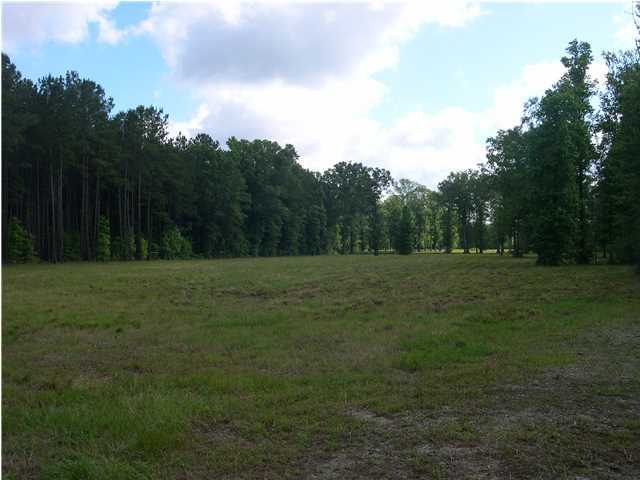 0 Us Highway Ridgeville, SC 29472 - Photo 3 of 8 Additional Photo