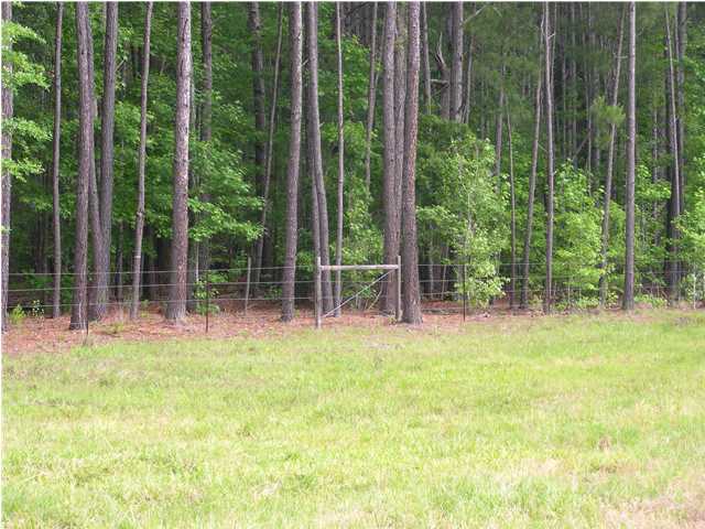 0 Us Highway Ridgeville, SC 29472 - Photo 5 of 8 Additional Photo