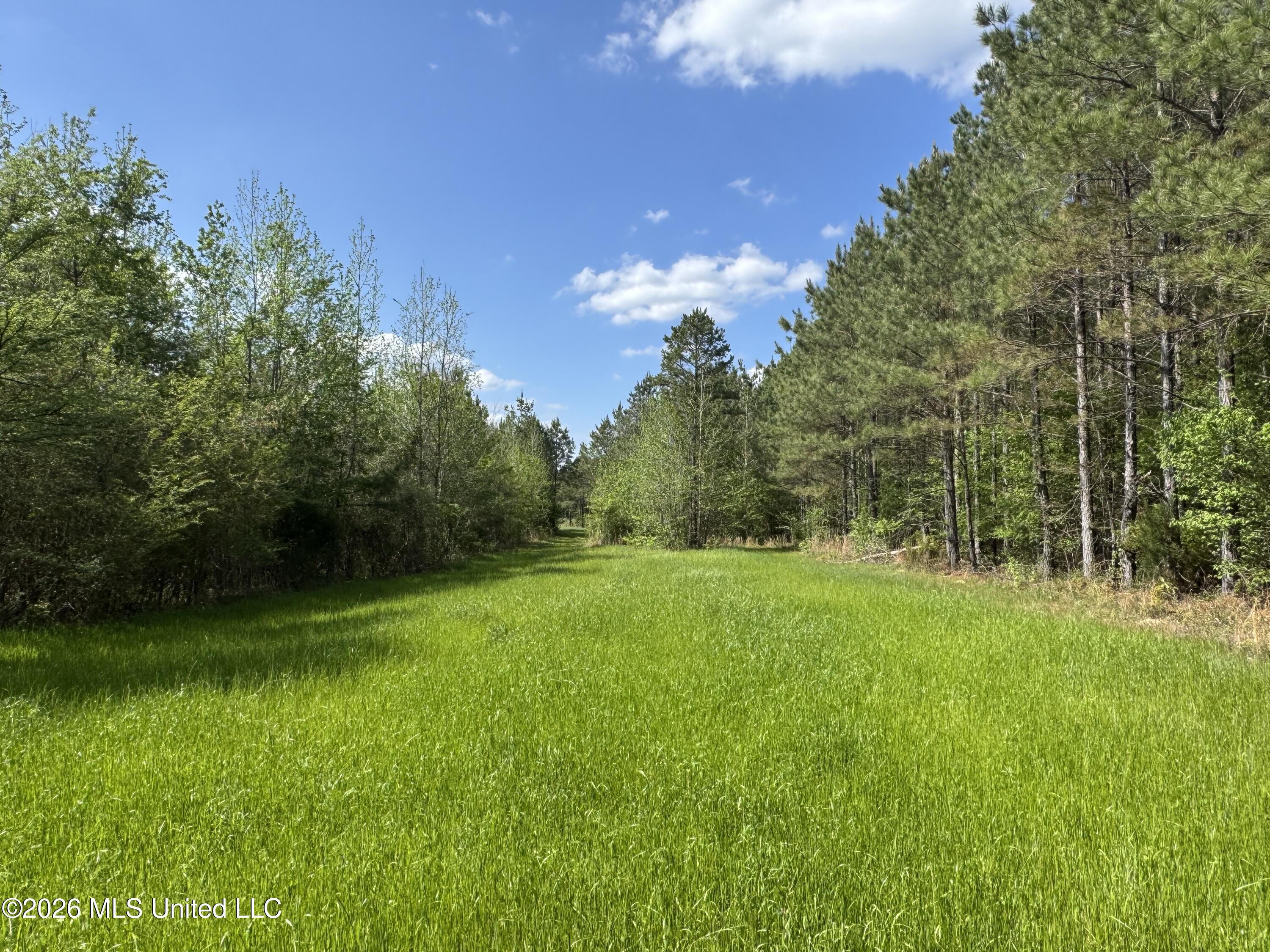 1479 Truesdale Road Carthage, MS 39051 - Photo 18 of 20 IMG_3093 2