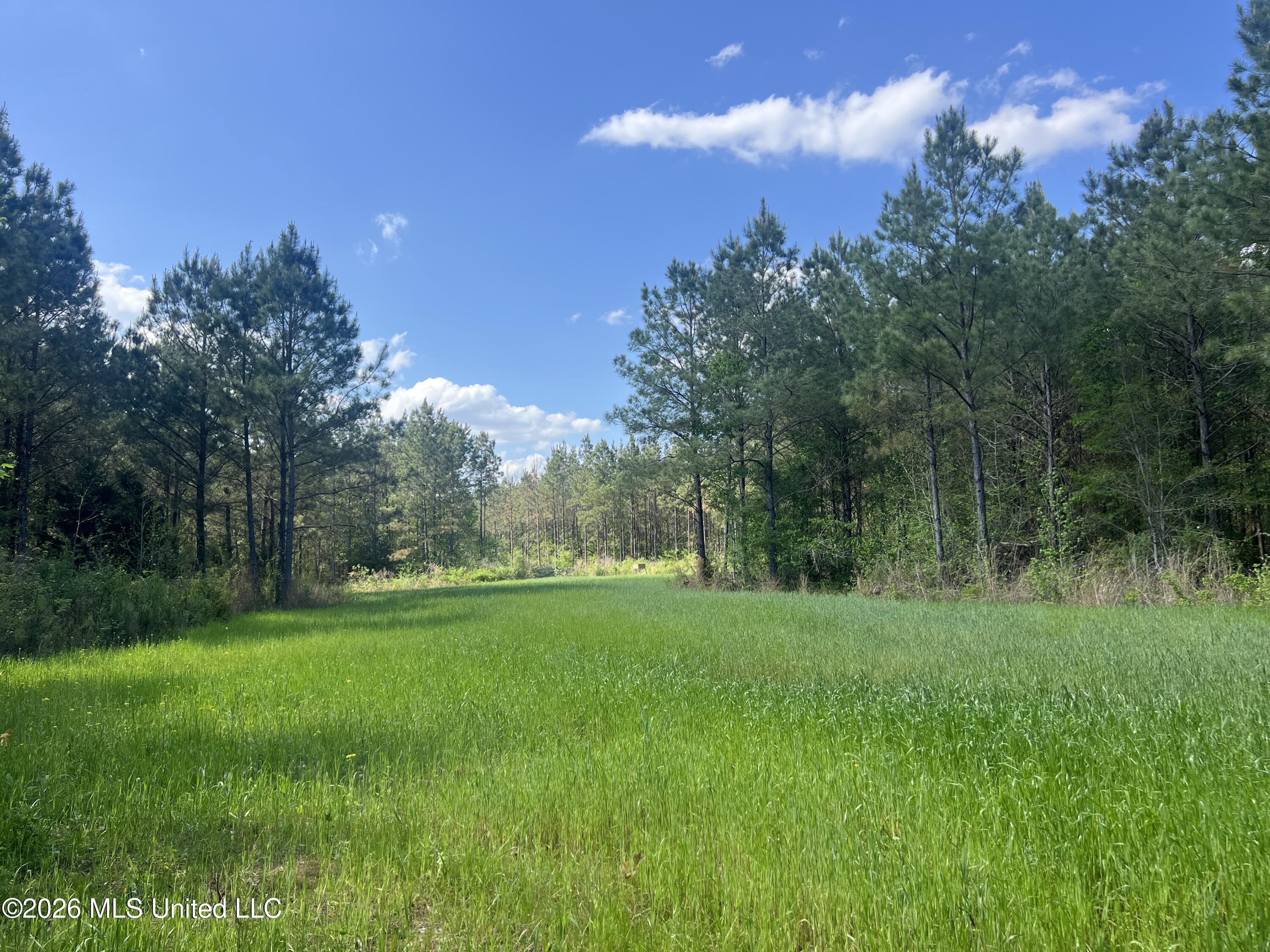 1479 Truesdale Road Carthage, MS 39051 - Photo 3 of 20 IMG_0973
