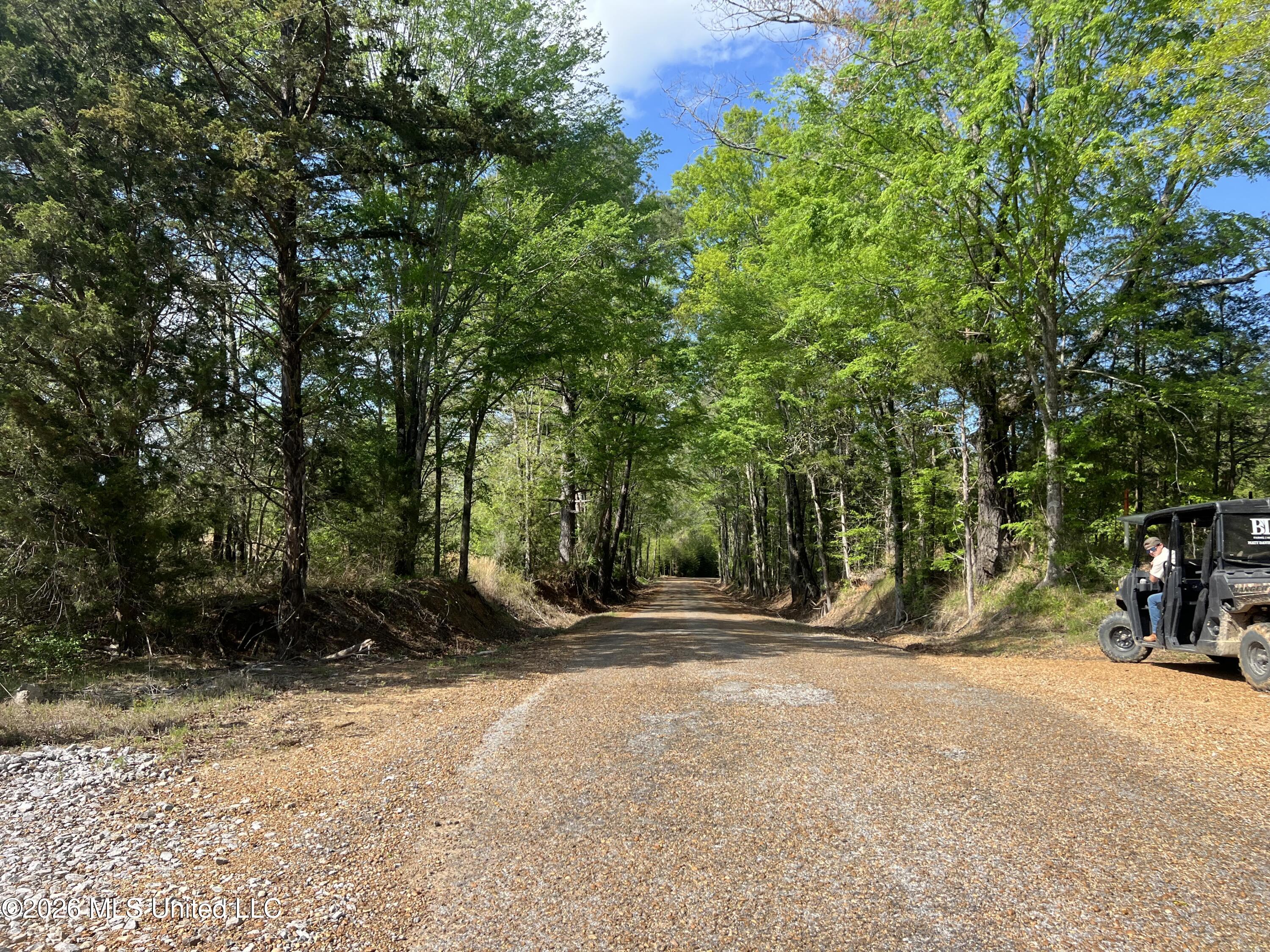 1479 Truesdale Road Carthage, MS 39051 - Photo 10 of 20 IMG_0981