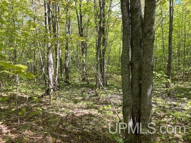 2 Boundary Road Chassell, MI 49916 - Photo 49 of 77