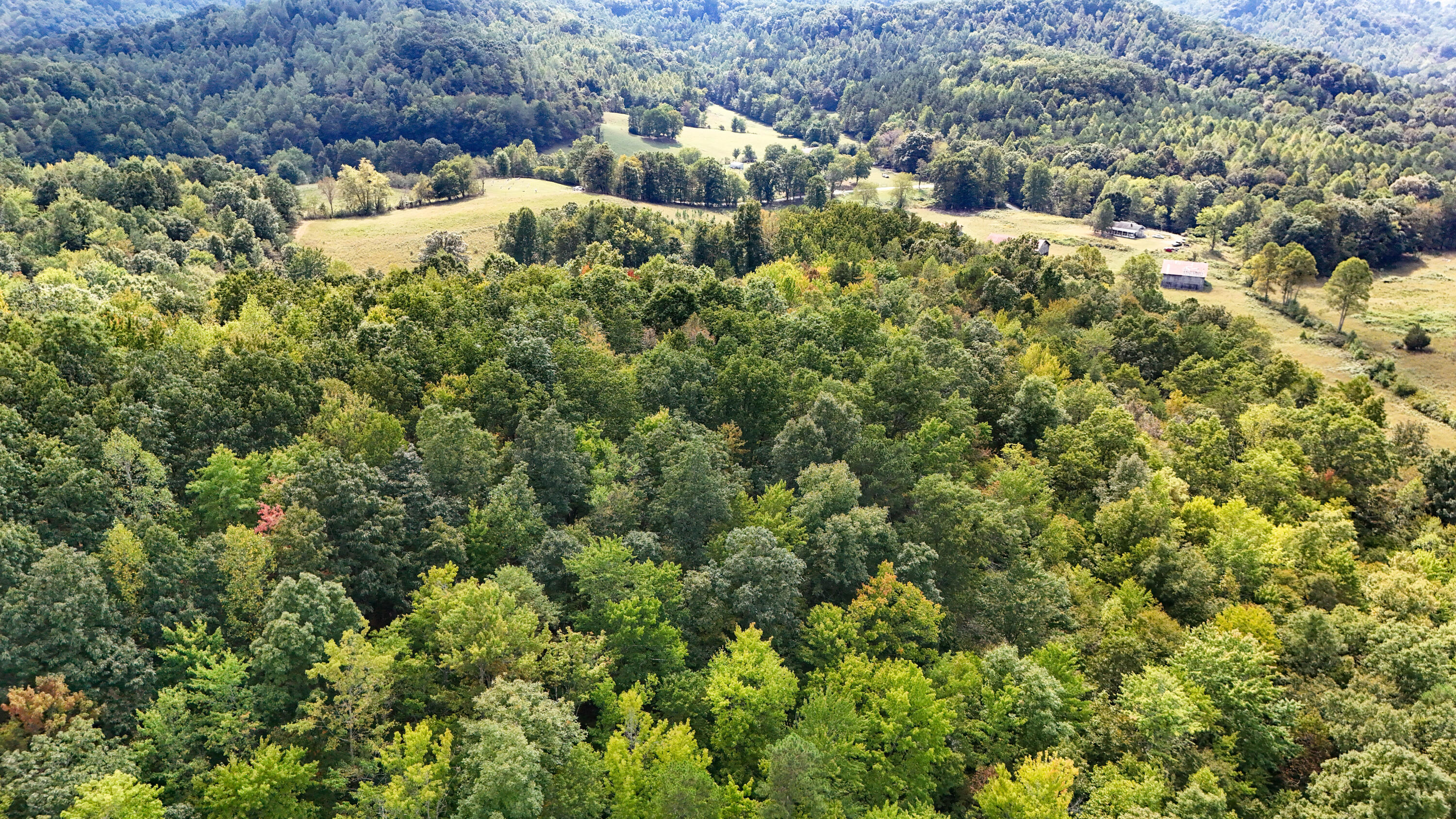9999 Portersburg Road Manchester, KY 40962 - Photo 27 of 28 LightroomRealEstateEdits-20