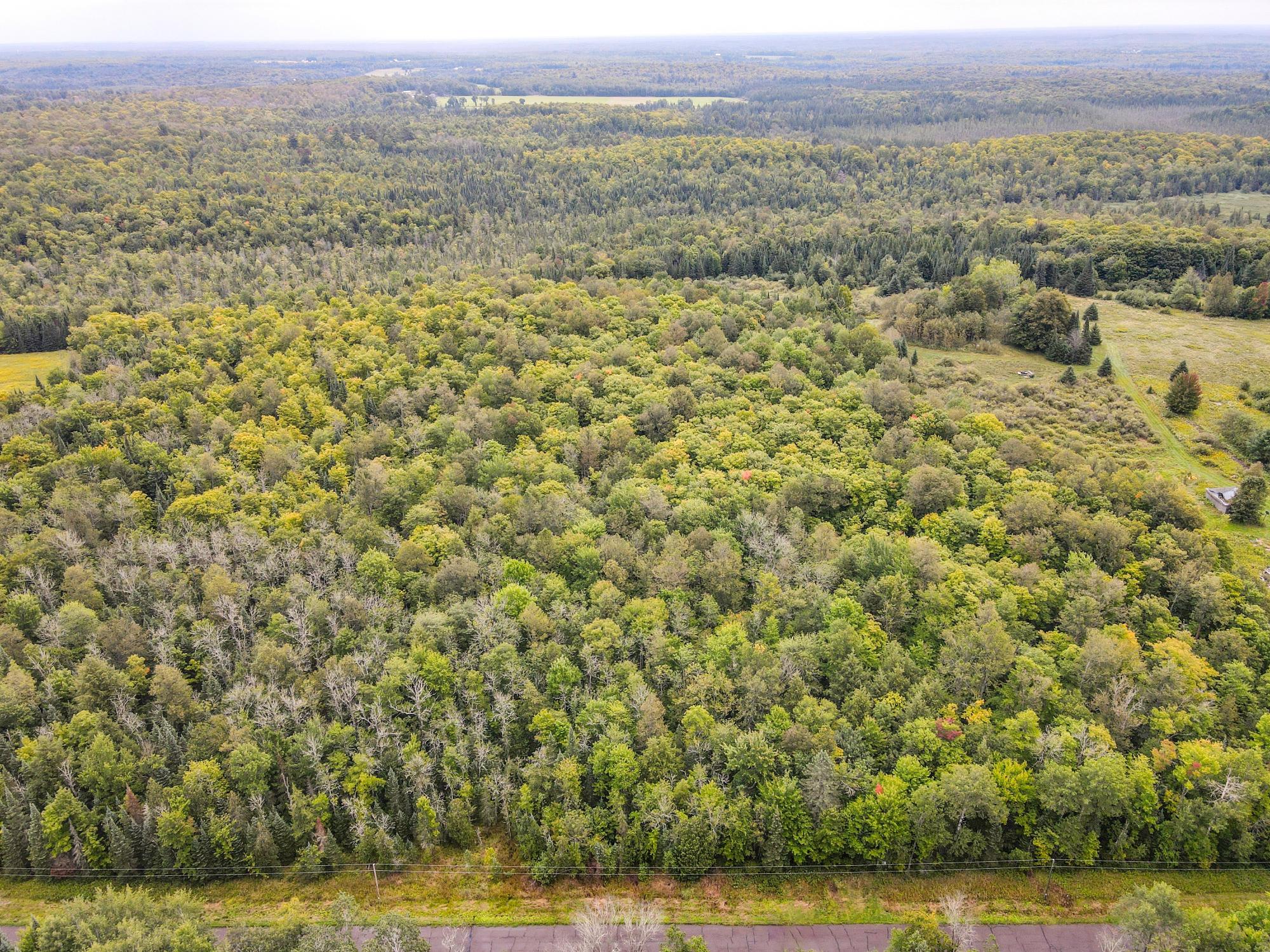 10-acres Bass Lake Road Manitowish Waters, WI 54545 - Photo 1 of 20 Gallery Image 1