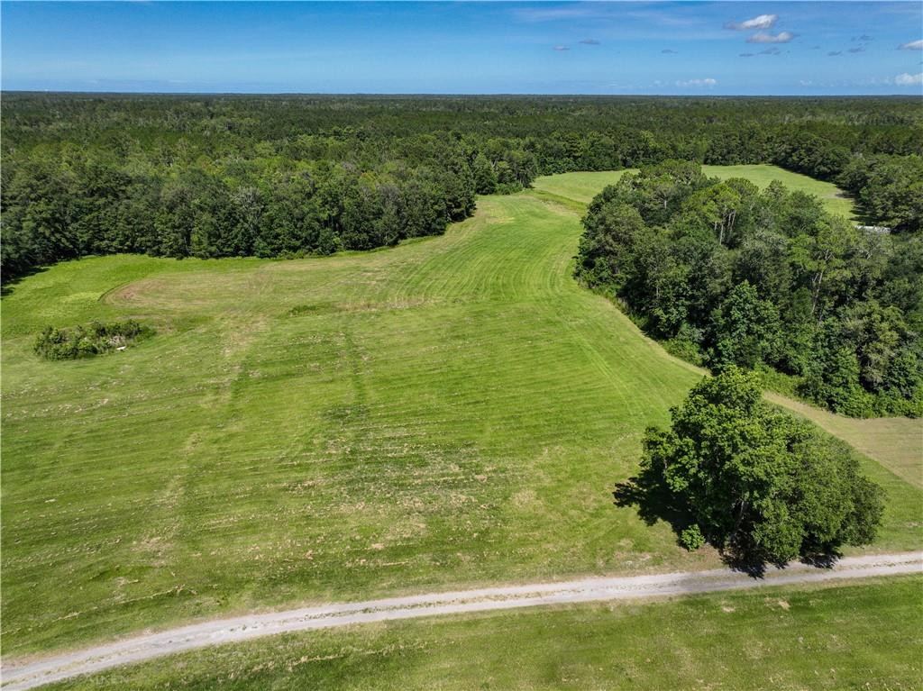 303 Taylor Farm Road Brunswick, GA 31525 - Photo 1 of 1 Gallery Image 1